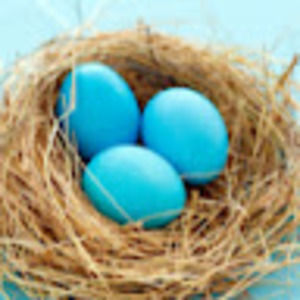 Meet your Posher, Paulette